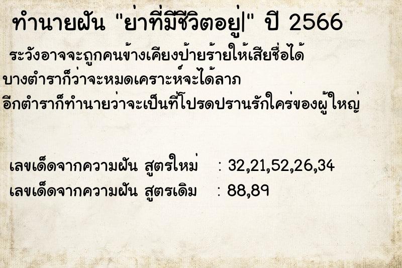 ทำนายฝัน ย่าที่มีชีวิตอยู่| ทำนายฝัน ย่าที่มีชีวิตอยู่|